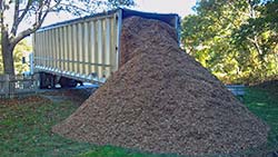 playground1-172.jpg